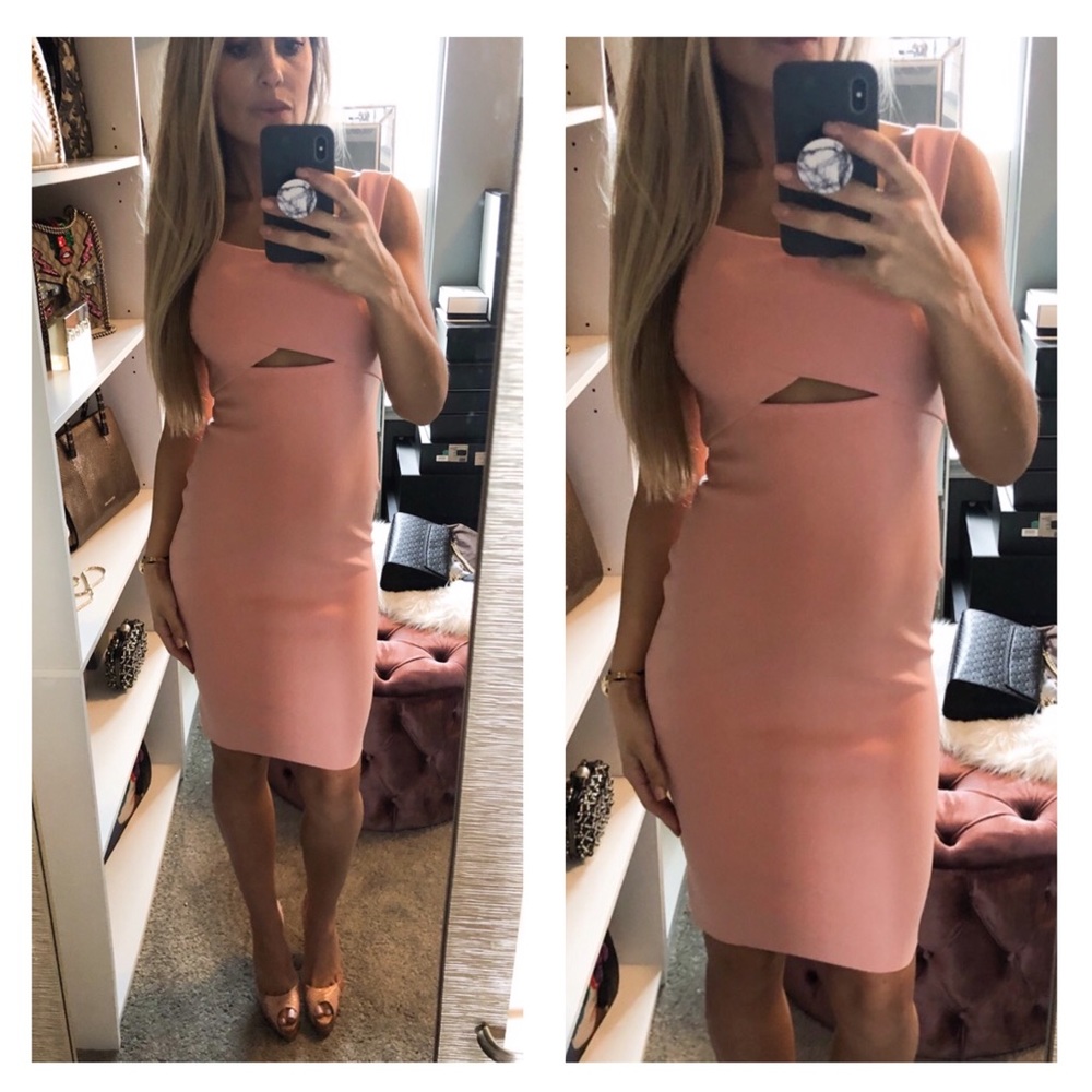 Bec & Bridge Blush Salt Lake Cocktail Dress sz 4